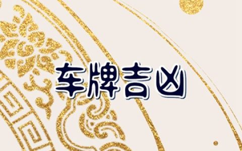 属鼠车牌号码选什么数字字母好 吉祥旺运的车牌号数