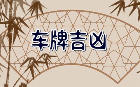 车牌号测吉凶(超准) 选车牌号有11的好不