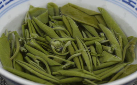 梦见菁菜预示什么 梦到菁菜好不好