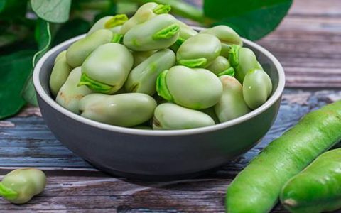 梦见绿油油的青蚕豆什么意思 梦境中绿油油的青蚕豆代表什么