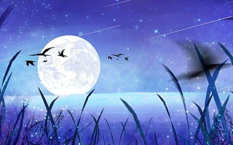 梦到植物发芽了什么意思 梦到植物发芽了是什么预兆解梦