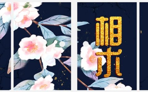 下巴后缩的女人必定凄苦吗 晚年经济状况不佳