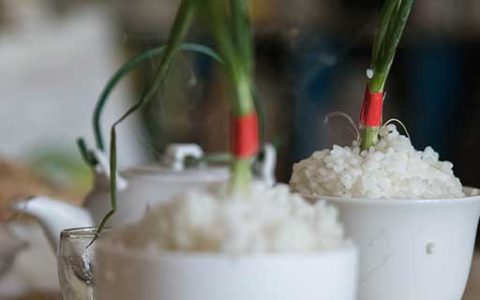 梦见埋葬有什么预兆 梦到埋葬什么意思