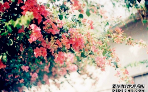 测你的异性缘如何（女生）