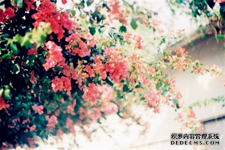 测你的异性缘如何（女生）
