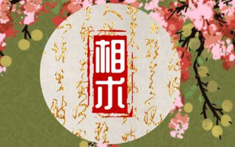 好命男人面相上都有哪些特征 下巴丰满家运旺