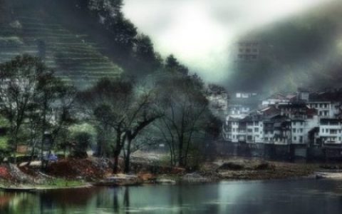 水瓶座爱吃什么