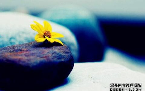 你会因不合群而被朋友排挤吗