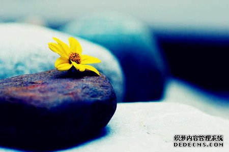 你会因不合群而被朋友排挤吗