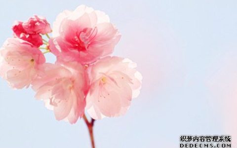 测你是个好相处的人吗