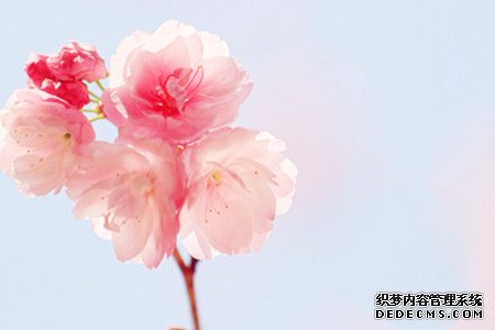 测你是个好相处的人吗