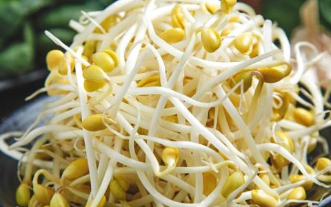 梦见豆芽是什么意思 梦见豆芽意味着什么