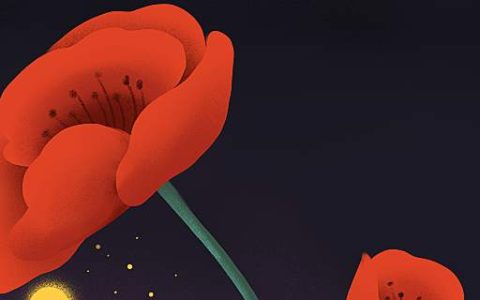 梦见明星向自己表白是什么征兆 梦见明星向自己表白是什么意思