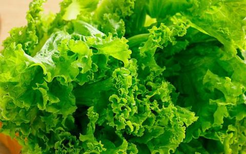 梦到吃生菜是什么意思 梦到吃生菜意味着什么