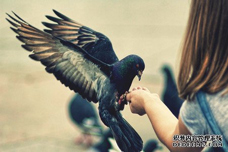 你身边贵人多还是小人多?