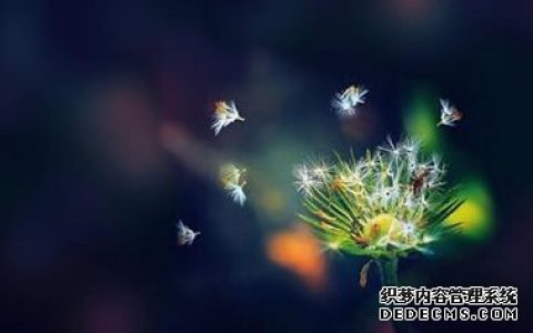 使你没了工作动力的是什么