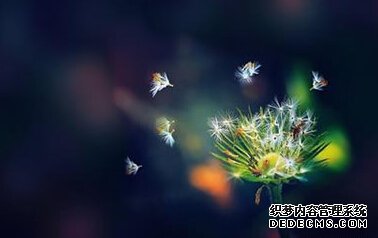 使你没了工作动力的是什么