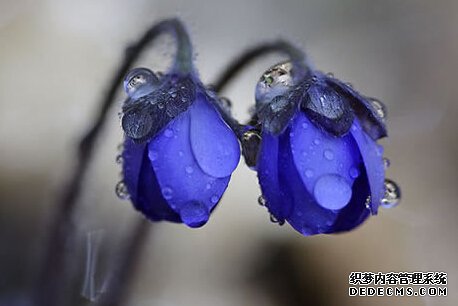 测你职场管理能力的强弱