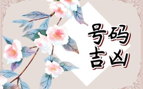 选优质手机号的重点!人缘好的手机号是怎样的?