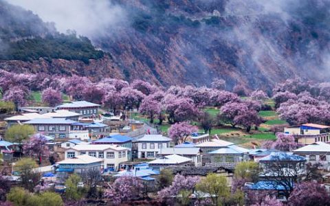 梦到桃花林什么意思 梦里桃花林象征着什么