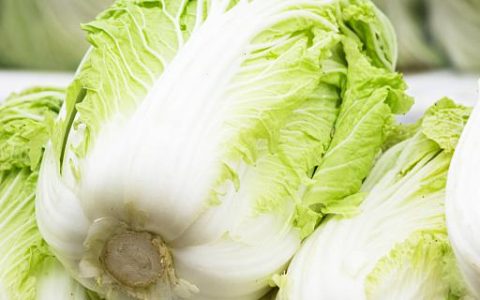 梦见大白菜的梦境解析 梦见大白菜是什么意思