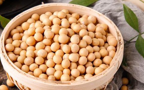梦见黄豆预示什么 梦见黄豆是什么征兆