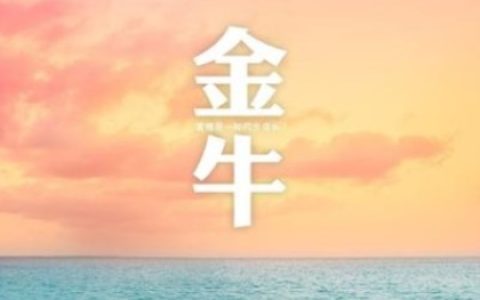 金牛座的理想情人
