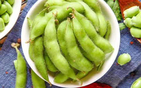 梦到豆角秧什么意思 梦到豆角秧预示着什么