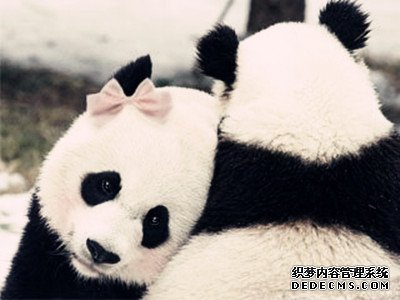 谁是跟你过不去的人?