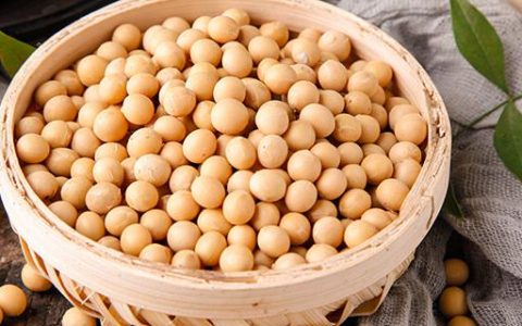 梦见黄豆是什么意思 做梦梦见黄豆是什么征兆