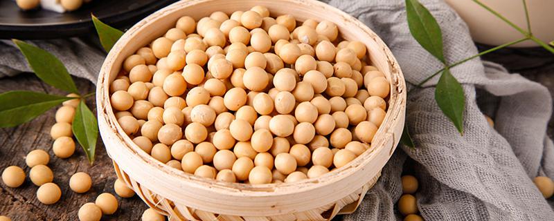 梦见黄豆是什么意思 做梦梦见黄豆是什么征兆
