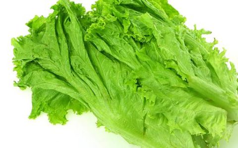 梦见生菜好不好 梦见生菜预示什么