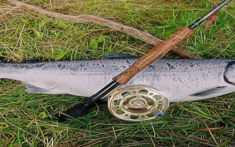 男人梦见钓到一条大鱼是什么意思 男人梦见钓到一条大鱼好不好
