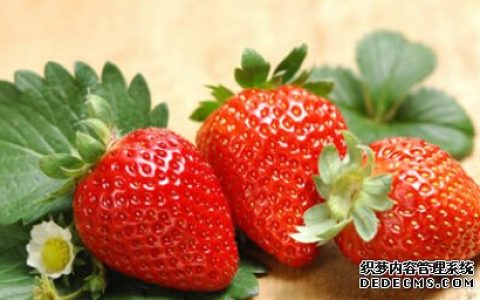 食物测试你现在适合换工作吗