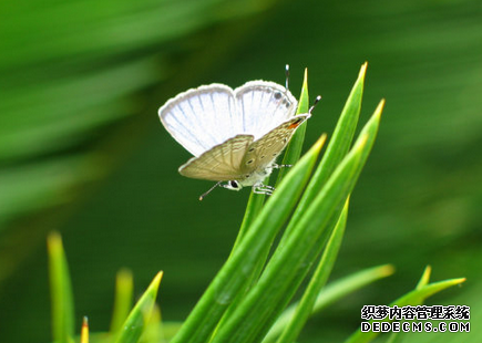 你能适应这个社会的压力吗