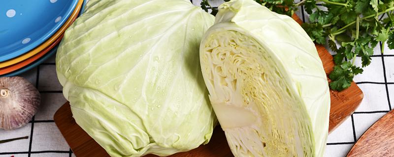 梦到圆菜是什么意思 梦见圆菜代表什么预兆
