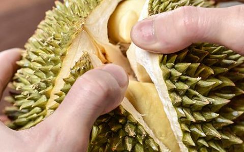梦见买榴莲是什么意思 梦见买榴莲意味着什么