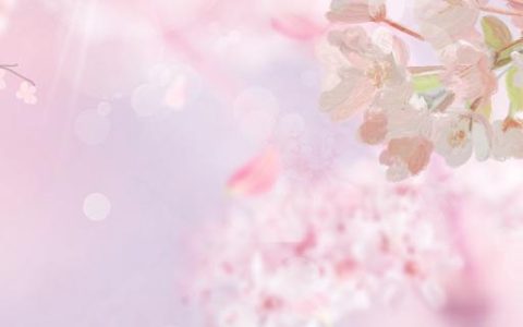 梦见樱花好不好 梦见樱花是什么征兆