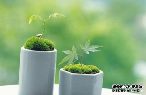 让你工作没有动力的是什么