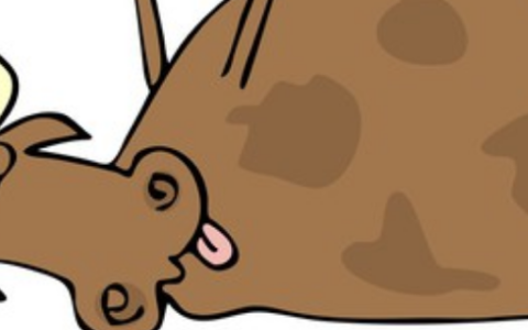 梦见牛死了是什么意思 梦到牛死了是好是坏