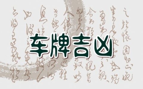 1975属兔车牌幸运号 1975属兔的最佳车牌号