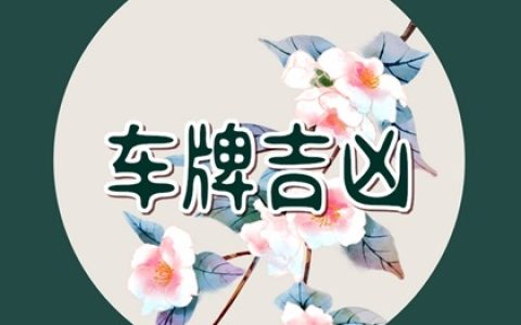 数字能量分析11位手机号 车牌号11跟12哪个好