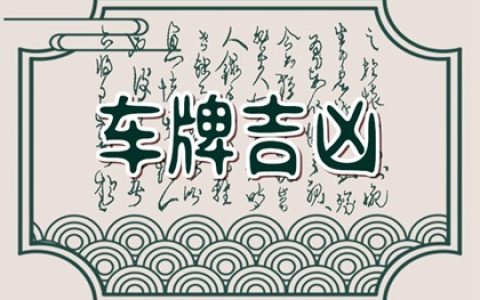 87兔炉中火命选车牌号字母 上车牌哪些字母最吉利