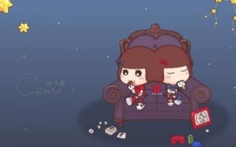 双子座的不同价值观大全集