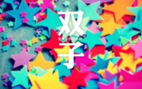 双子座的理想情人