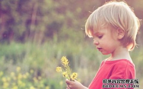 你工作压力有多大