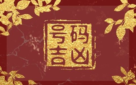 手机号讲解怎么搭配&nbsp;&nbsp;手机尾号66的含义