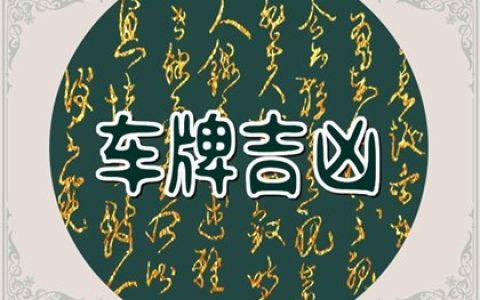 吉利车牌号识别 车牌带两个55怎么样