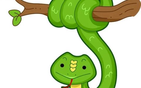 蛇进屋有什么预兆，蛇进屋是好事还是坏事？