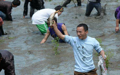 男人梦见抓了一条大鱼什么意思 男人梦见抓了一条大鱼预示什么